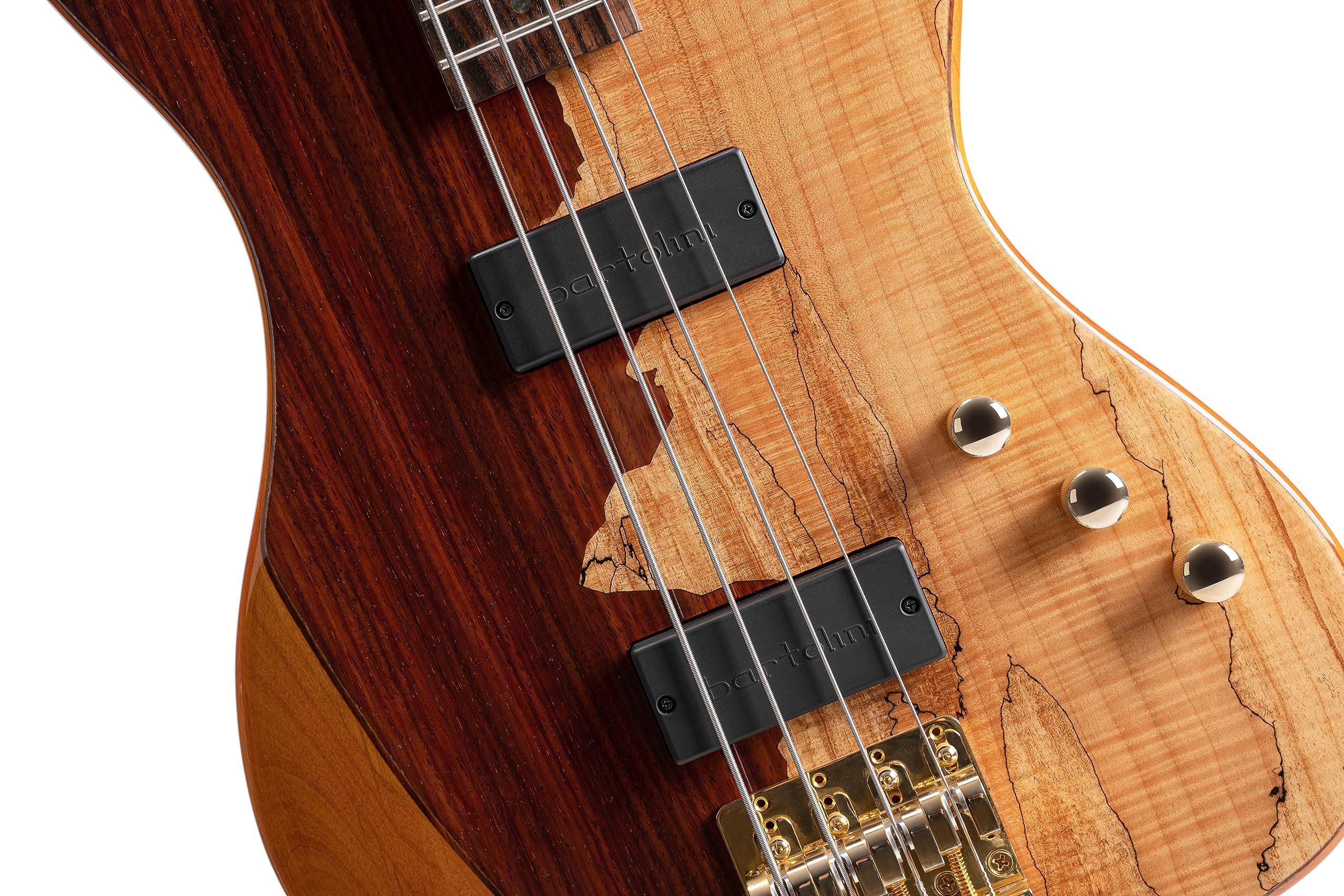 Amazon.com: Cort Rhythmic Series Jeff Berlin Signature 5-String